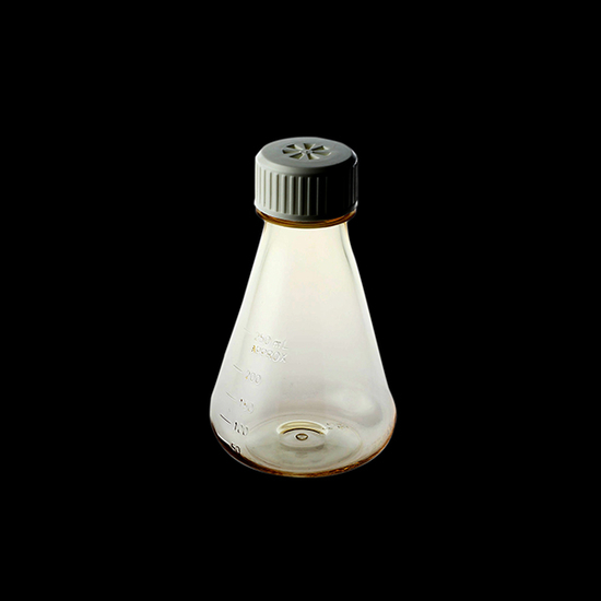 PC Conical Flask