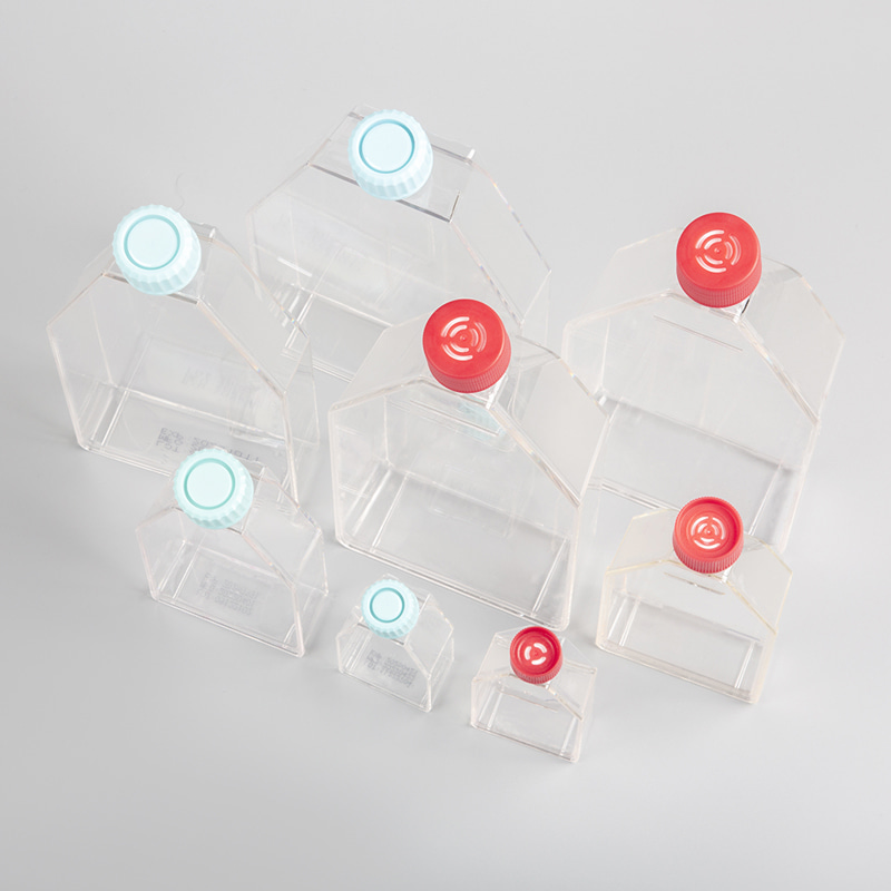 Cell Culture Flasks
