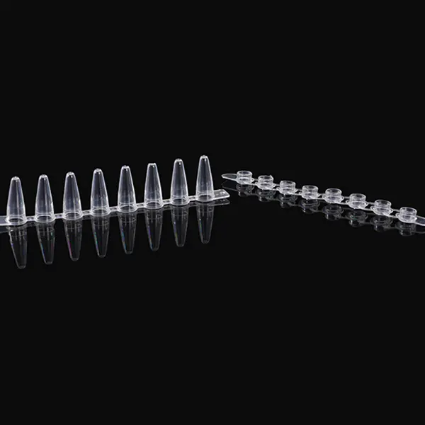 Optimizing PCR Efficiency: The Unsung Hero of Molecular Biology